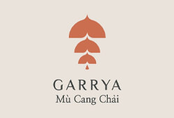 Garrya Mù Cang Chải